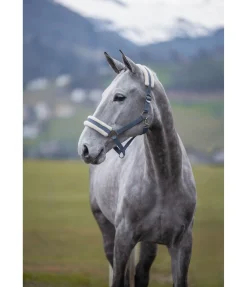 Licol en polaire Teddy à prix cassé III