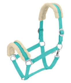 Licol en polaire Teddy à prix cassé III