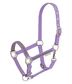 Licol poulain et shetland Blaire