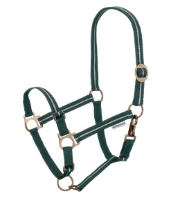 Licol poulain et shetland Shimmering