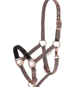 Licol poulain et shetland Future Star