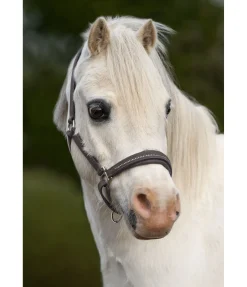 Licol poulain et shetland en cuir orné de strass Selina