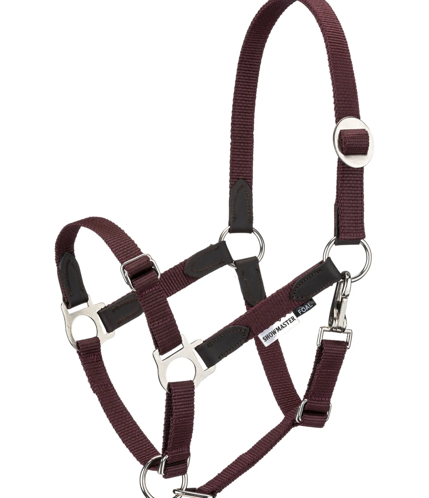 Licol poulain et shetland Katy