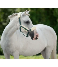 Licol poulain et shetland en polaire Teddy Cozy Adjustable