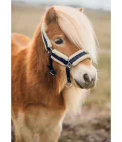 Licol pour poulain et shetland Shine