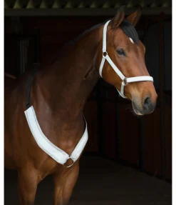 Licol réfléchissant Shiny