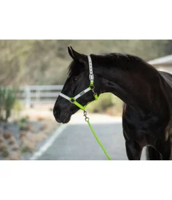 Licol réfléchissant Shiny
