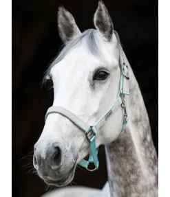 Licol réfléchissant Shiny