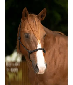 Licol éthologique Bo