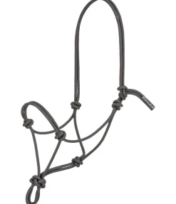 Licol éthologique Bo