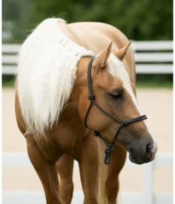 Licol éthologique Bo