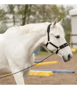 Longe de travail courte