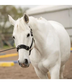 Longe de travail courte