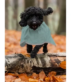 Manteau de pluie pour chien Thousand Islands, 0 g