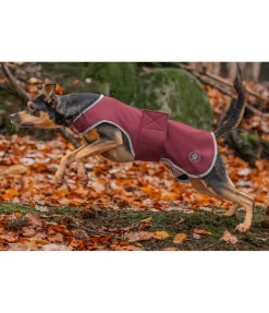 Manteau de randonnée softshell pour chien Athlete, 0 g