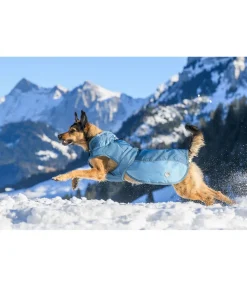 Manteau d'hiver pour chien avec doublure en polaire Teddy, 100 g Glacier Bay