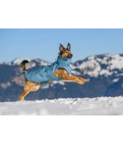 Manteau d'hiver pour chien Wonderland, 140 g