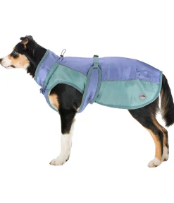 Manteau d'hiver pour chien avec doublure en polaire Teddy, 100 g Glacier Bay