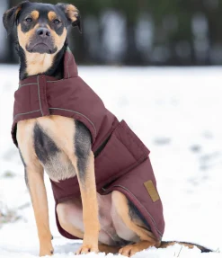 Manteau d'hiver pour chien Beaver Creek, 400 g