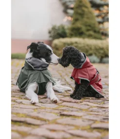 Manteau pour chien softshell avec col polaire Frida