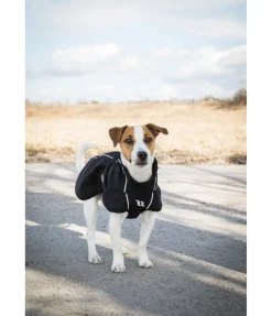 Manteau softshell pour chien Bark, 0 g