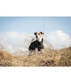 Manteau softshell pour chien Bark, 0 g