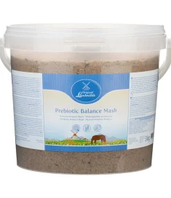 Mash équilibre prébiotique