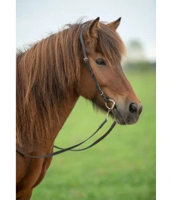 Mors à olives pour islandais LOCK-UP