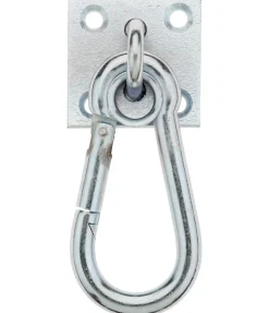 Mousqueton sur plaque