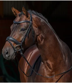 Muserolle suédoise en cuir gras avec noseband et boucle amovible Mix & Match PRO