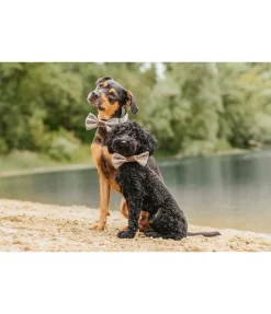 Noeud papillon pour chien Tribal Love