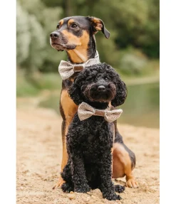 Noeud papillon pour chien Tribal Love