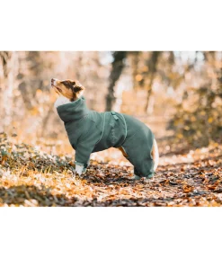 Peignoir pour chien Allover Dry