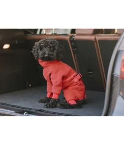 Peignoir pour chien Allover Dry