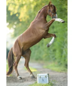 Petite mallette Alu Care Case