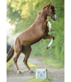 Petite mallette Alu Care Case