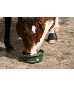 Pierre à lécher Bronchial