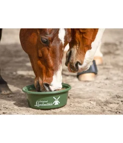 Pierre à lécher Bronchial