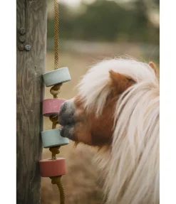 Pierre à lécher Salty Lick Relax
