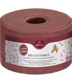 Pierre à lécher Salty Lick Vitamine C