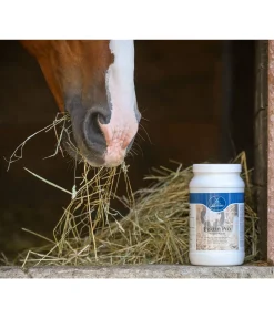 Poudre pour l'estomac Pectine Pro
