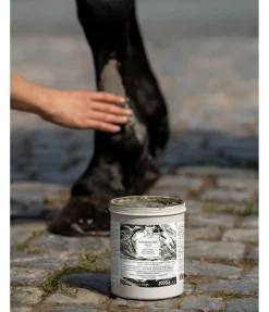 Pâte régénératrice