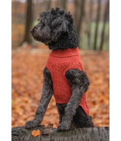 Pull col roulé Maisie