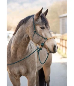 Rênes fermées Bonny