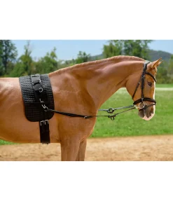 Rênes fixes en cuir avec anneaux en caoutchouc