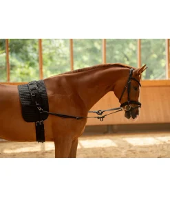 Rênes fixes en cuir avec anneaux en caoutchouc