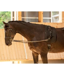 Rênes fixes en cuir Elastik