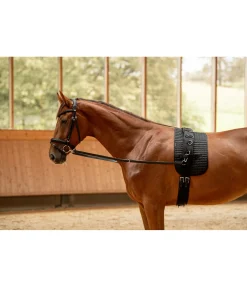 Rênes fixes en cuir sans anneaux en caoutchouc