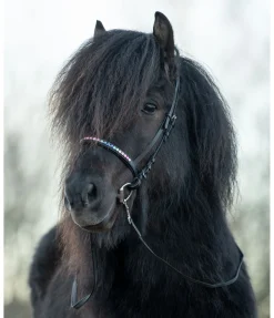 Rênes pour islandais