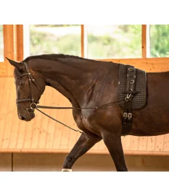 Rênes viennoises Quick Snap